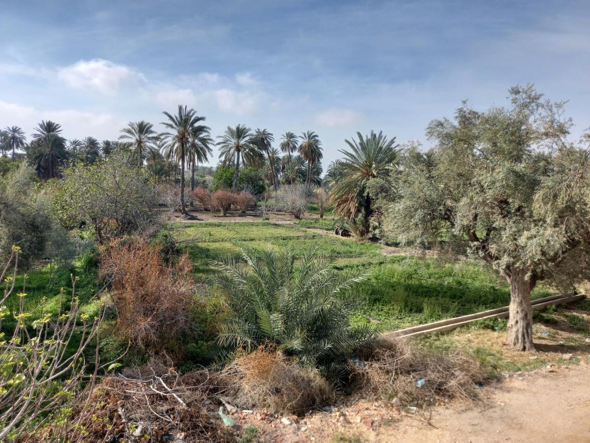 Hotel Dar Seddik Gafsa Exteriér fotografie